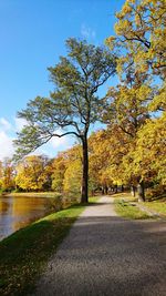 Road amidst trees against sky during autumn