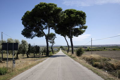 Road amidst trees against clear sky