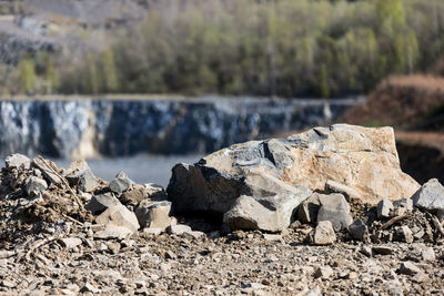 Close-up of rocks on land