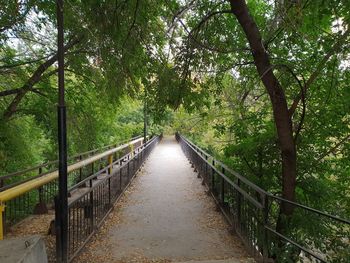 Footbridge amidst trees in forest