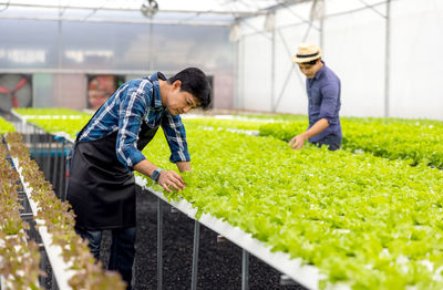 Rear view of man working on plants