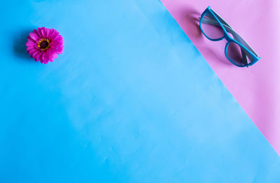 High angle view of pink flower on swimming pool