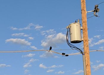 Low angle view of black bird perching on power cable against blue sky and clouds