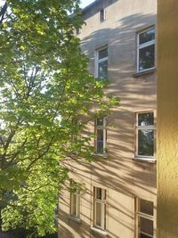 Building with trees in background