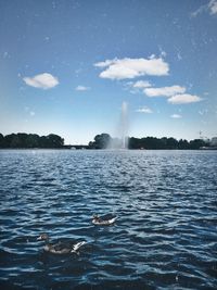 Ducks swimming in lake against sky