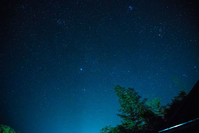 Low angle view of trees against star field