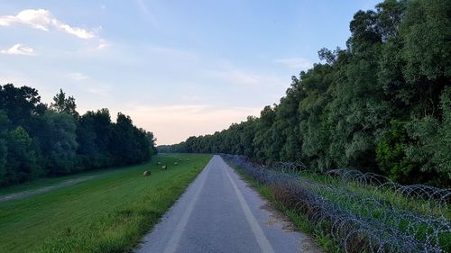 Road amidst trees against sky