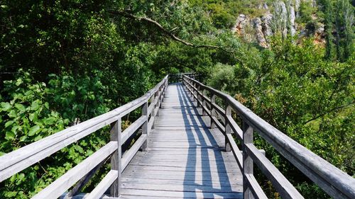 Footbridge against trees