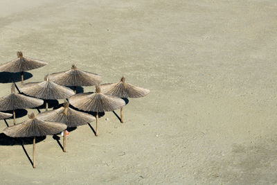 High angle view of people walking on field