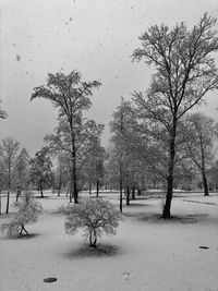 Trees on snow covered field against sky