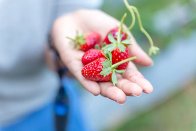 Close-up of hand holding strawberry