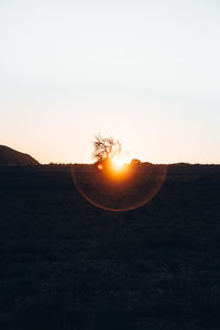 Scenic view of field against sky during sunset