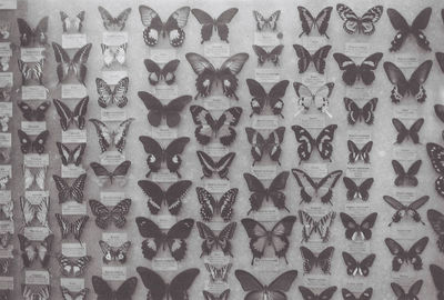 Full frame shot of abstract pattern