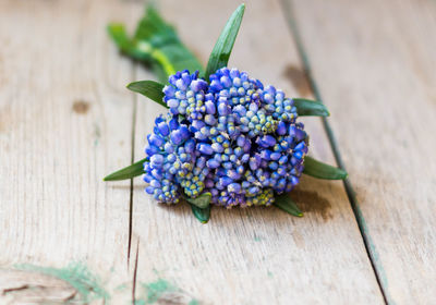 Close-up of blue flowers on table