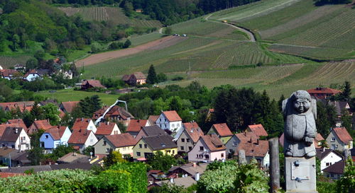 Scenic view of agricultural field by houses and trees