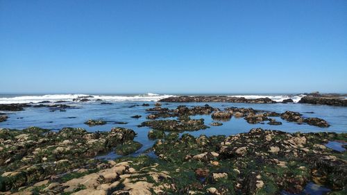 Scenic view of sea against clear blue sky