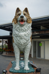 View of a dog wearing animal representation