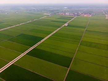 Aerial view of agricultural field