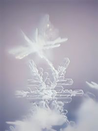 Close-up of smoke against blue background