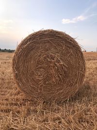 Hay bales on field against sky