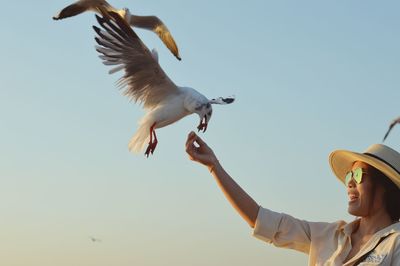 Happy woman feeding to seagulls flying against clear sky during sunset