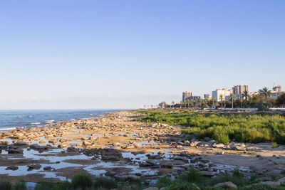 Scenic view of sea against clear sky