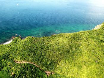 High angle view of sea shore