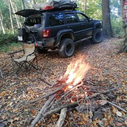 View of fire in the forest