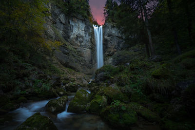 Scenic view of waterfall in forest