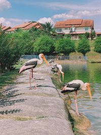 View of a building by the lake