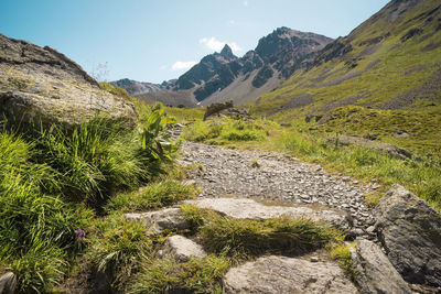 Scenic view of stream against sky