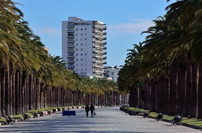 People walking on palm trees in city against sky