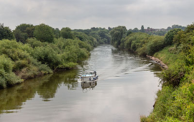 Scenic view of river amidst trees against sky
