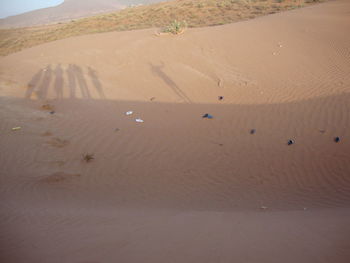 High angle view of sand dune in desert