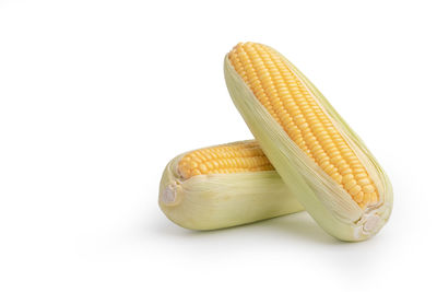 Close-up of burger against white background