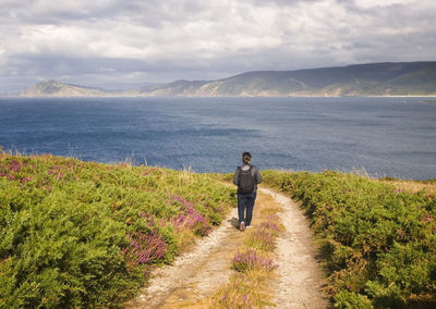 Rear view of man on sea shore against sky