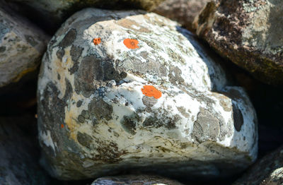 High angle view of a rock