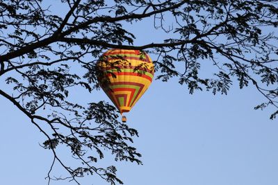 hot air balloon