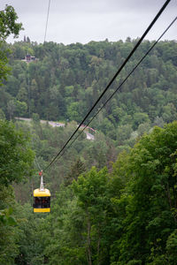 Overhead cable car in forest