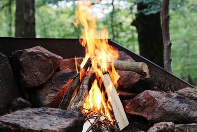 Close-up of fire on wood in front of stones out in a forest at late afternoon