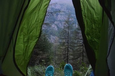 Low section of person standing by trees in forest