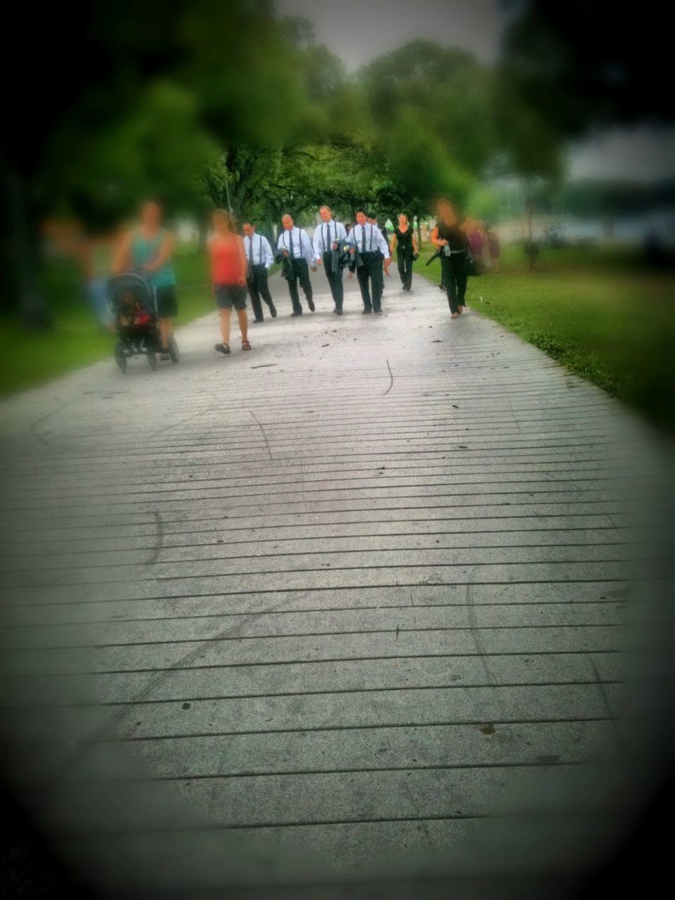 tree, the way forward, selective focus, incidental people, street, focus on foreground, in a row, diminishing perspective, outdoors, footpath, road, park - man made space, night, walking, large group of people, men, vanishing point, transportation