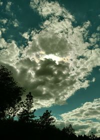 Low angle view of silhouette trees against sky