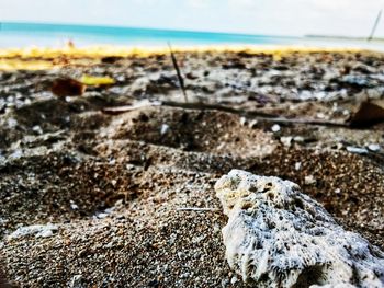 Close-up of sand on beach against sky