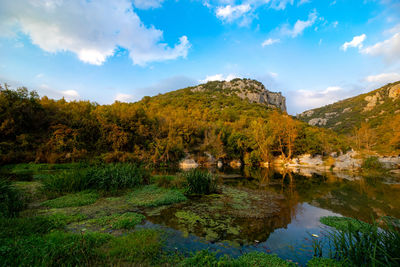 Scenic view of lake by trees against sky