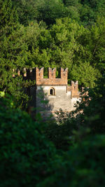 Old building by trees