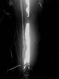 Silhouette woman standing by tree against sky