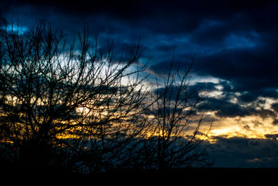 Silhouette bare trees against sky at sunset