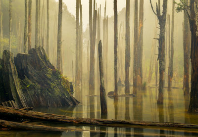 Panoramic view of lake against sky