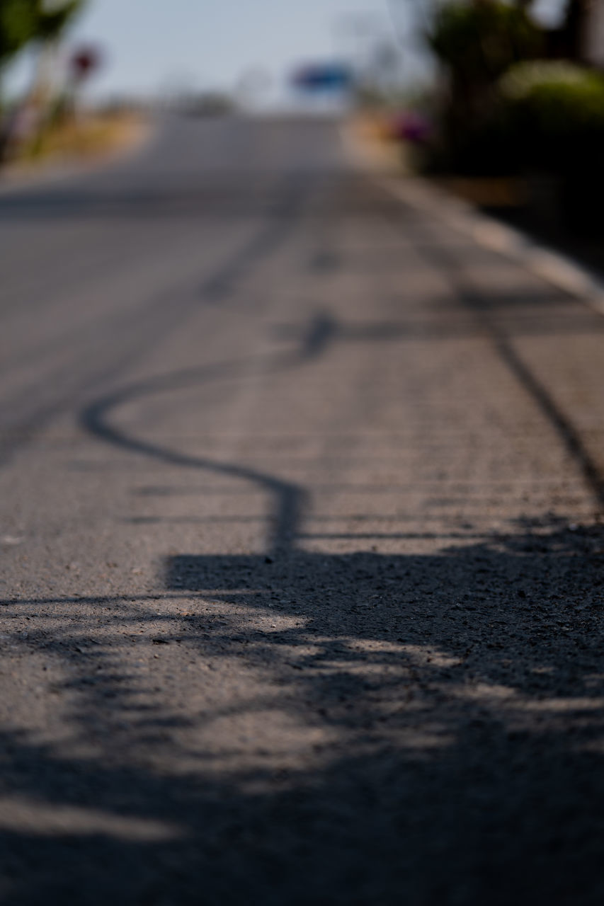 road, transportation, street, city, no people, selective focus, blue, day, nature, shadow, black, white, light, asphalt, surface level, road surface, sunlight, outdoors, sky, sign, road marking, the way forward, morning, symbol, plant, line, close-up, footpath, tree, lane